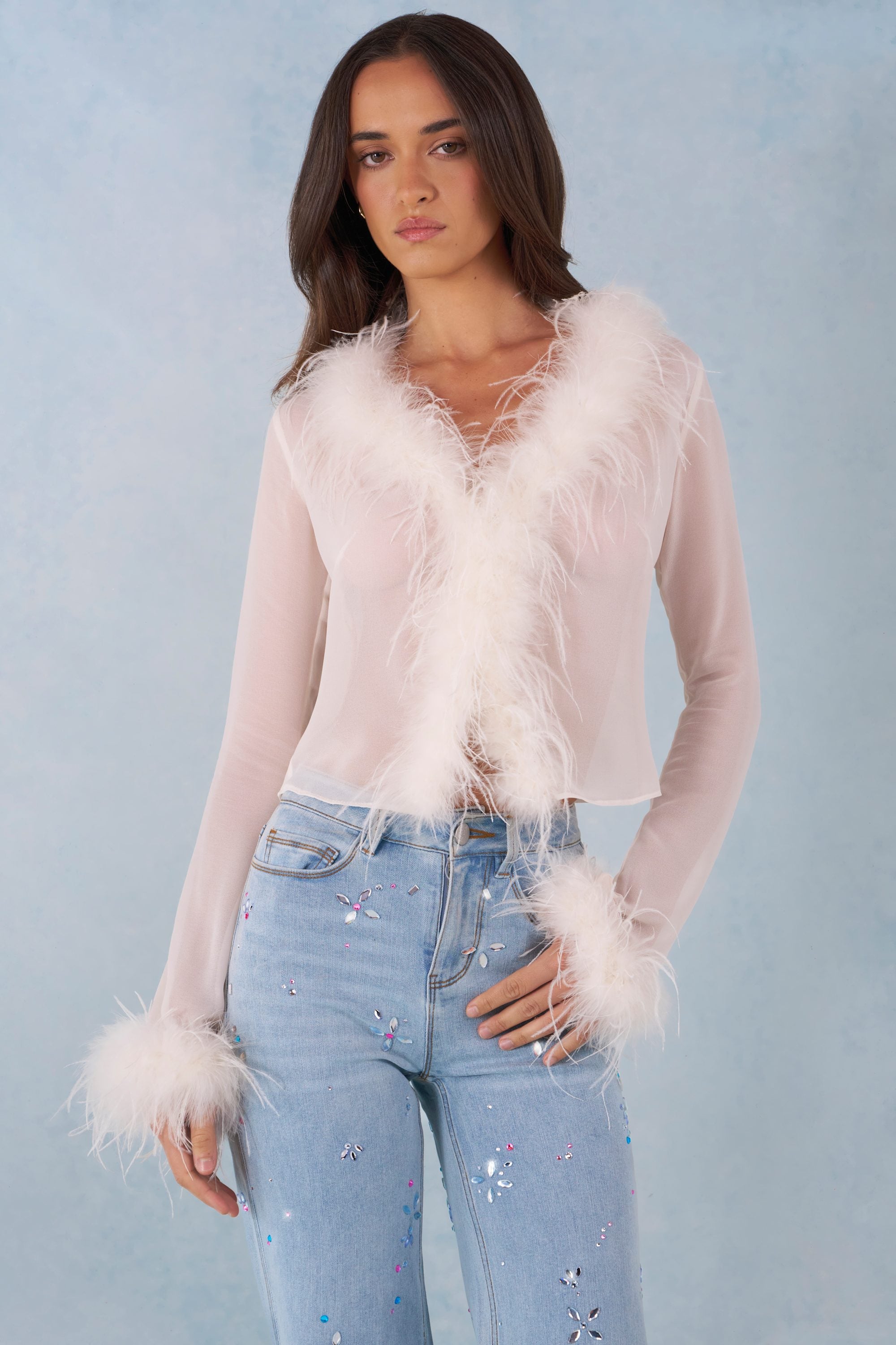 Elisia Faux Fur-Trim Sheer Top in Ivory | Oh Polly