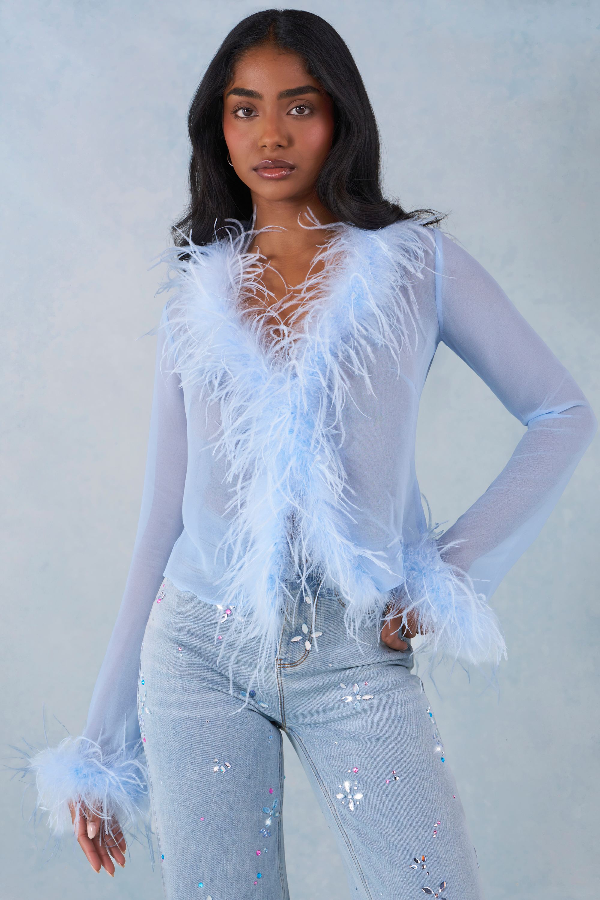 Elisia Faux Fur-Trim Sheer Top in Soft Blue | Oh Polly
