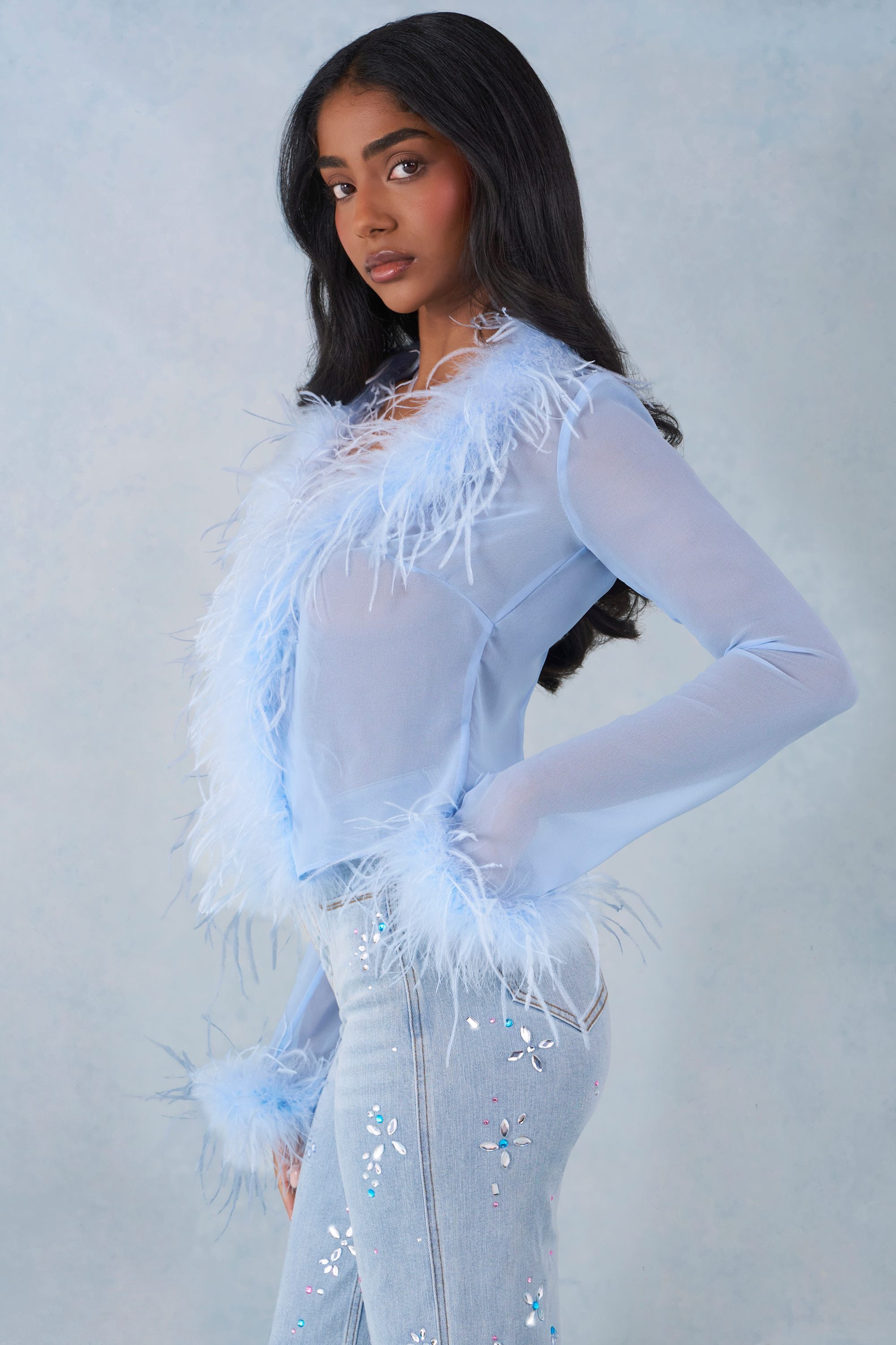 Elisia Faux Fur-Trim Sheer Top in Soft Blue | Oh Polly