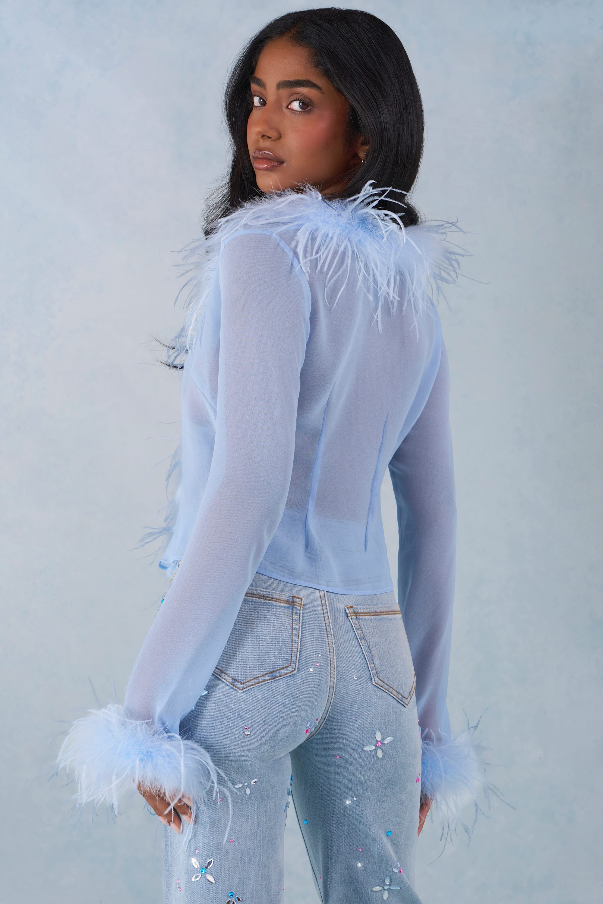 Elisia Faux Fur-Trim Sheer Top in Soft Blue | Oh Polly