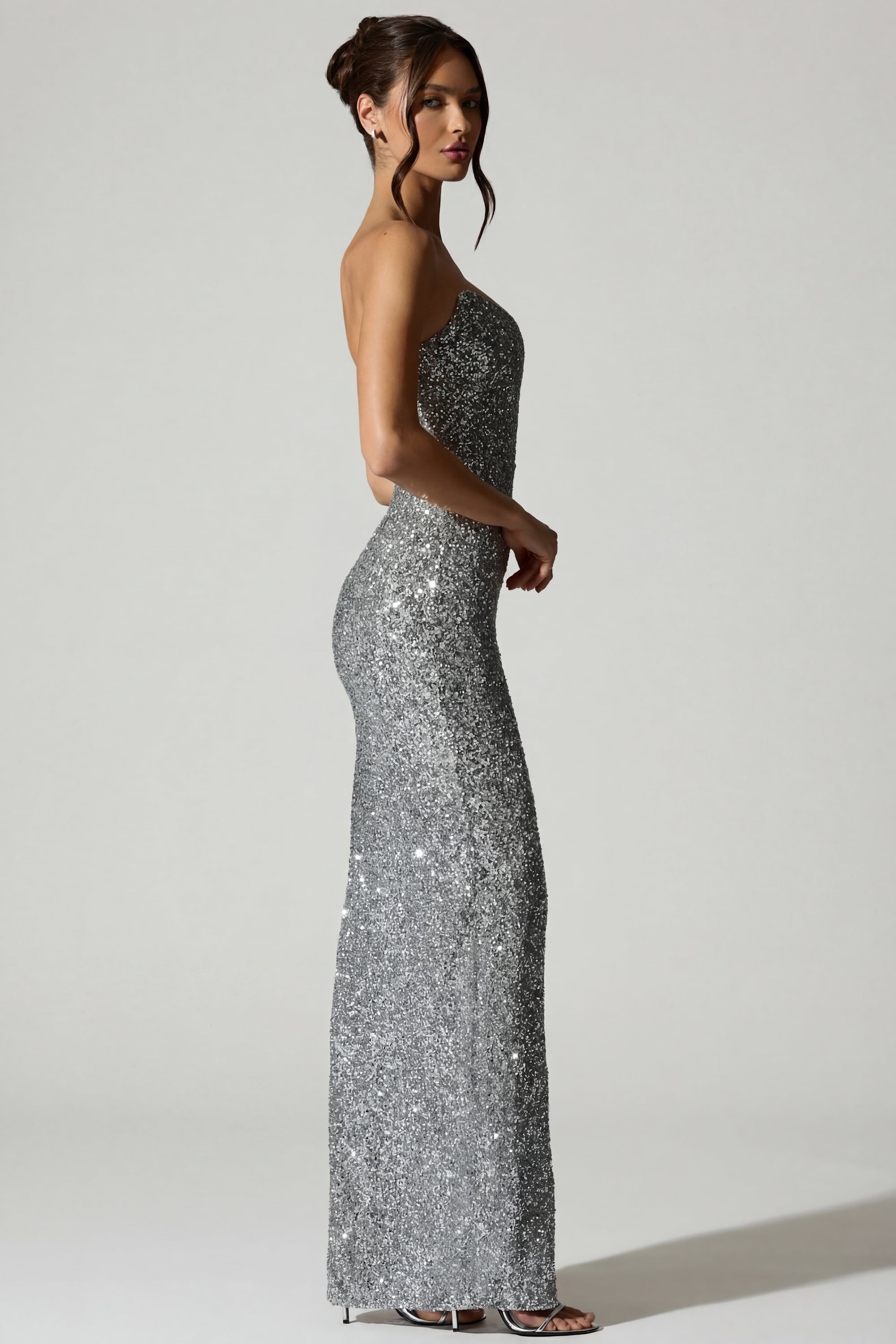 Jasella Embellished Corset Gown in Silver