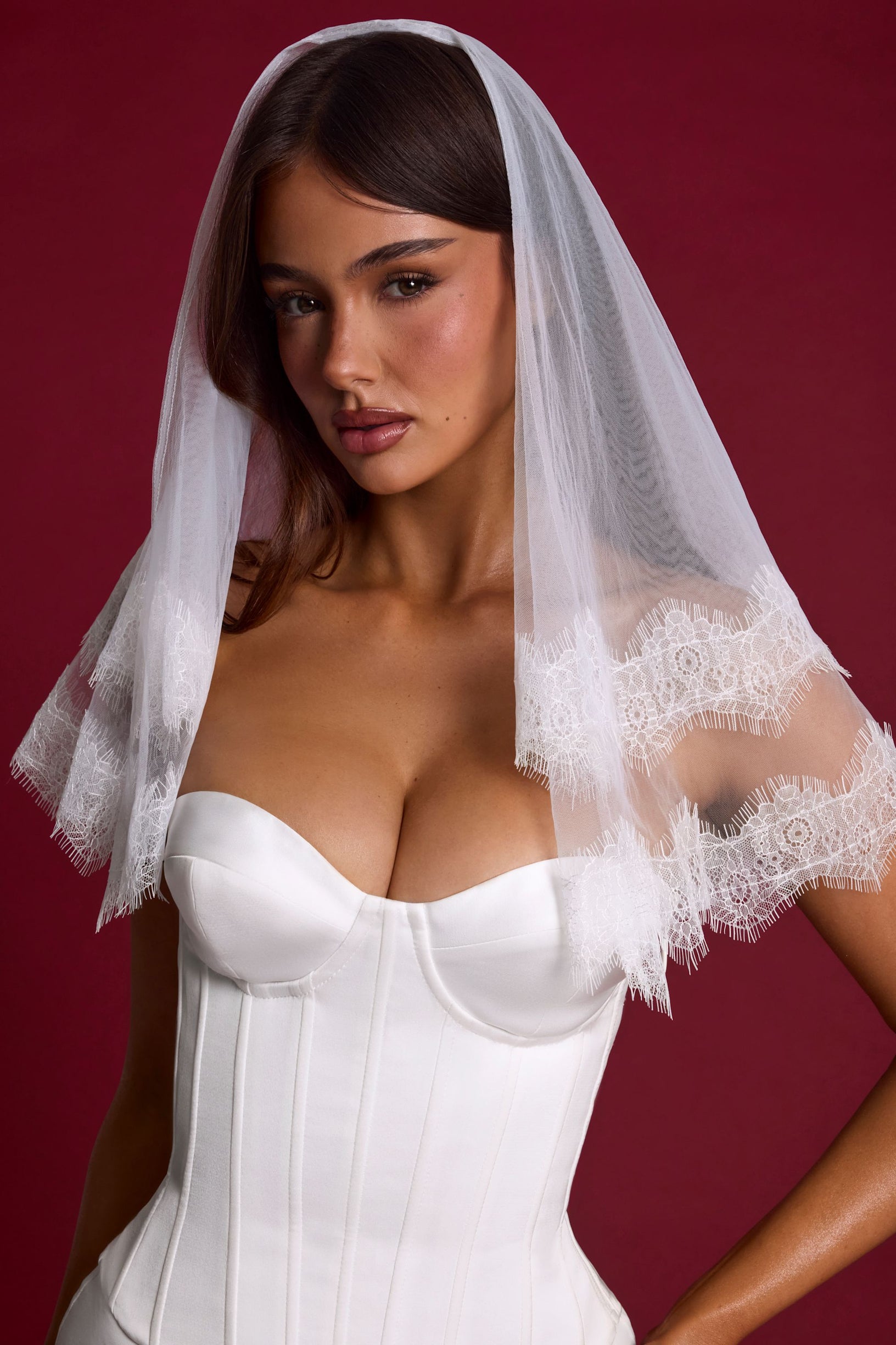 Lace-Trim Veil in White - 1