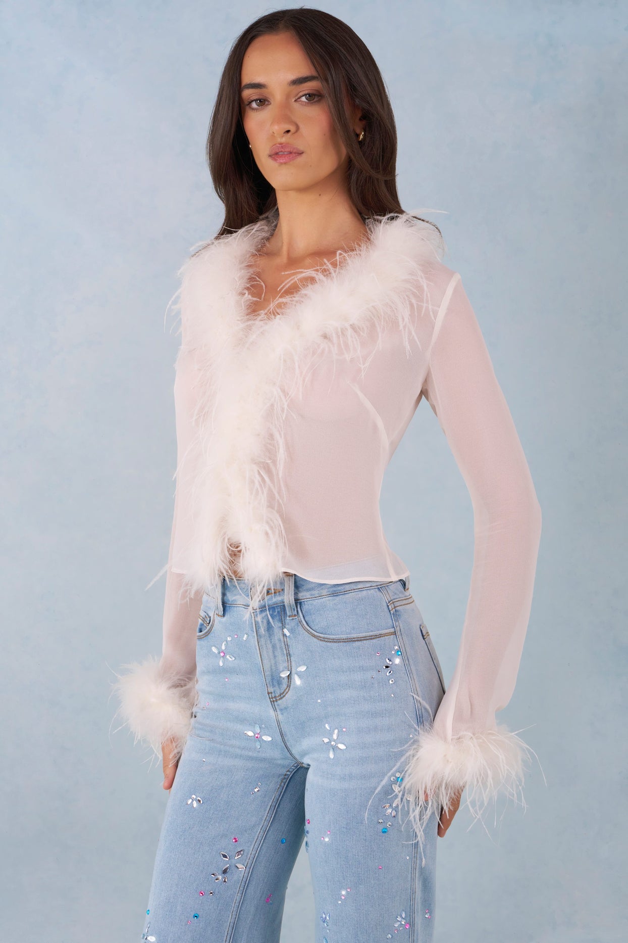 Feather Trim Sheer Top in Ivory - 8