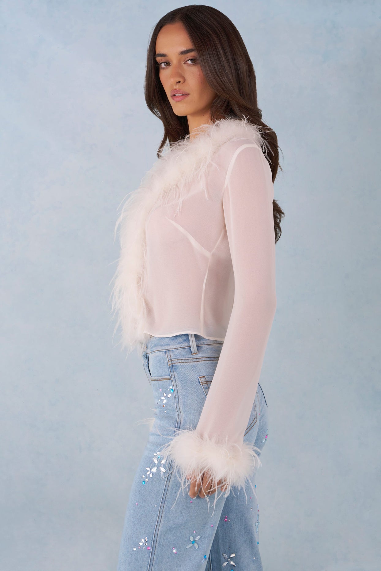 Feather Trim Sheer Top in Ivory - 7