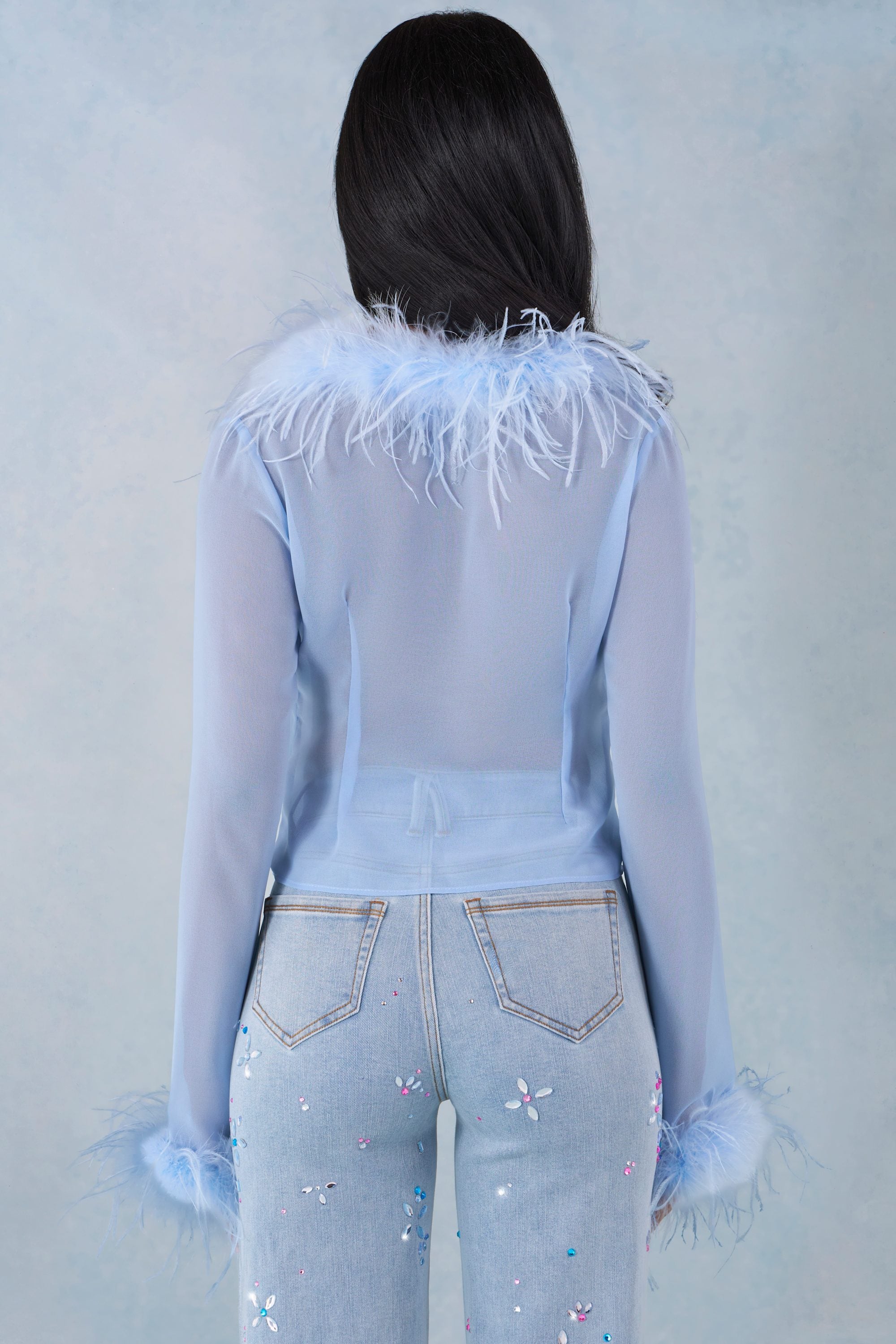 Feather Trim Sheer Top in Soft Blue