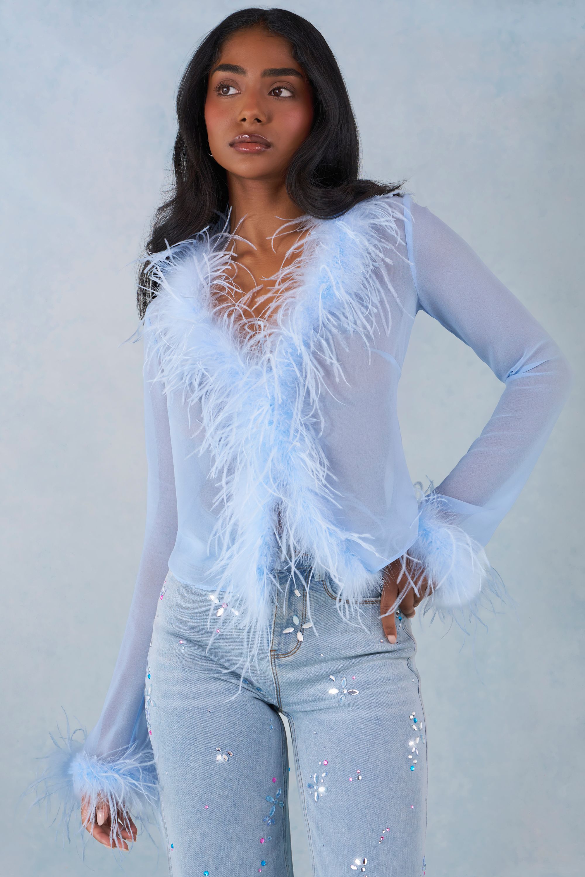 Feather Trim Sheer Top in Soft Blue