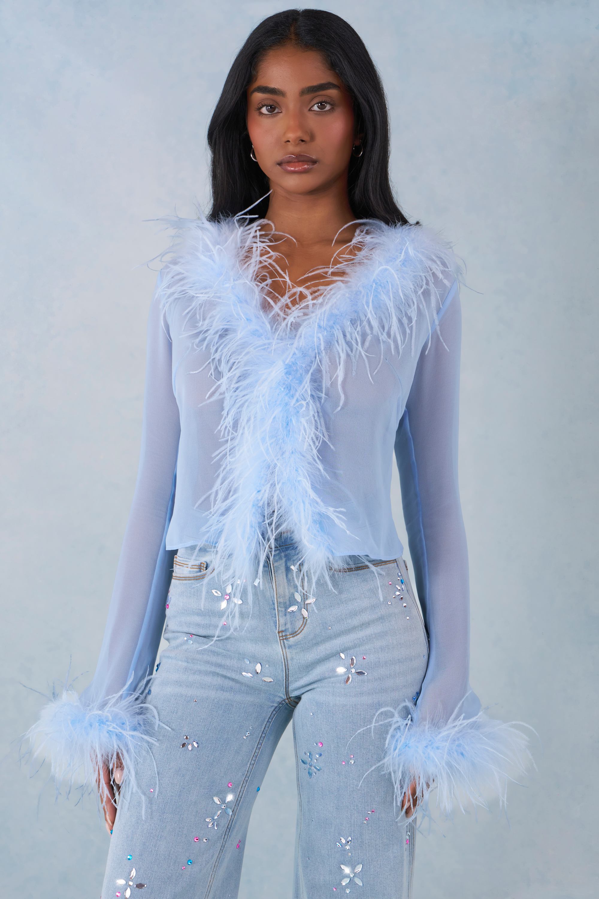 オーネ　Owne Feather Veil Blouse Elisia Faux Fur-Trim Sheer Top in Soft Blue | Oh Polly – Oh Polly US
