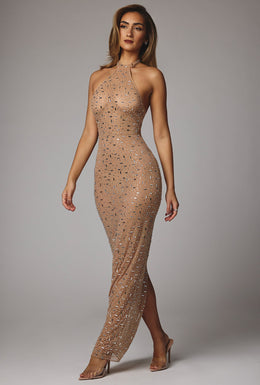 Sheer Embellished High Neck Evening Gown in Almond