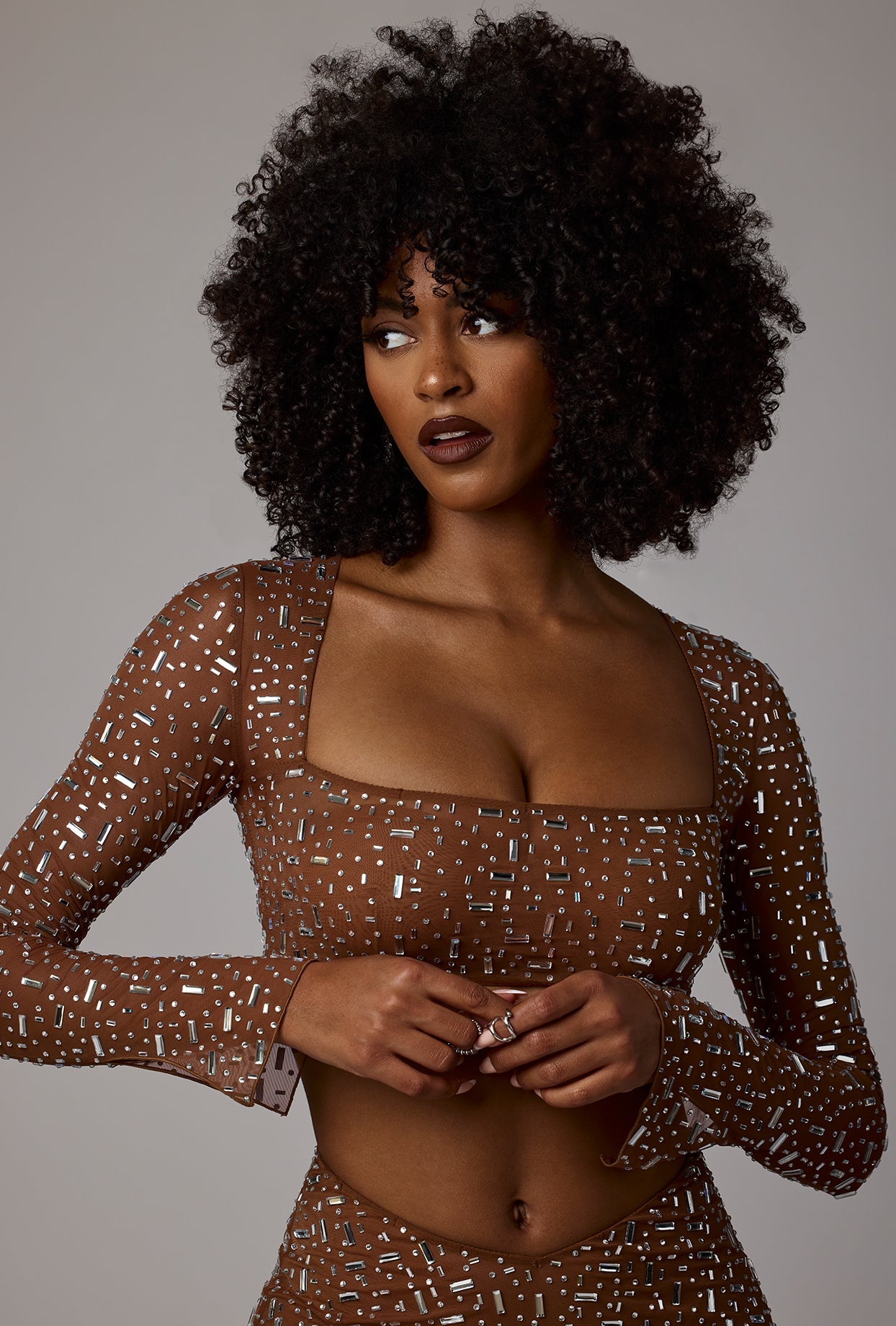 Guilia Sheer Embellished Long Sleeve Square Neck Crop Top in Mocha