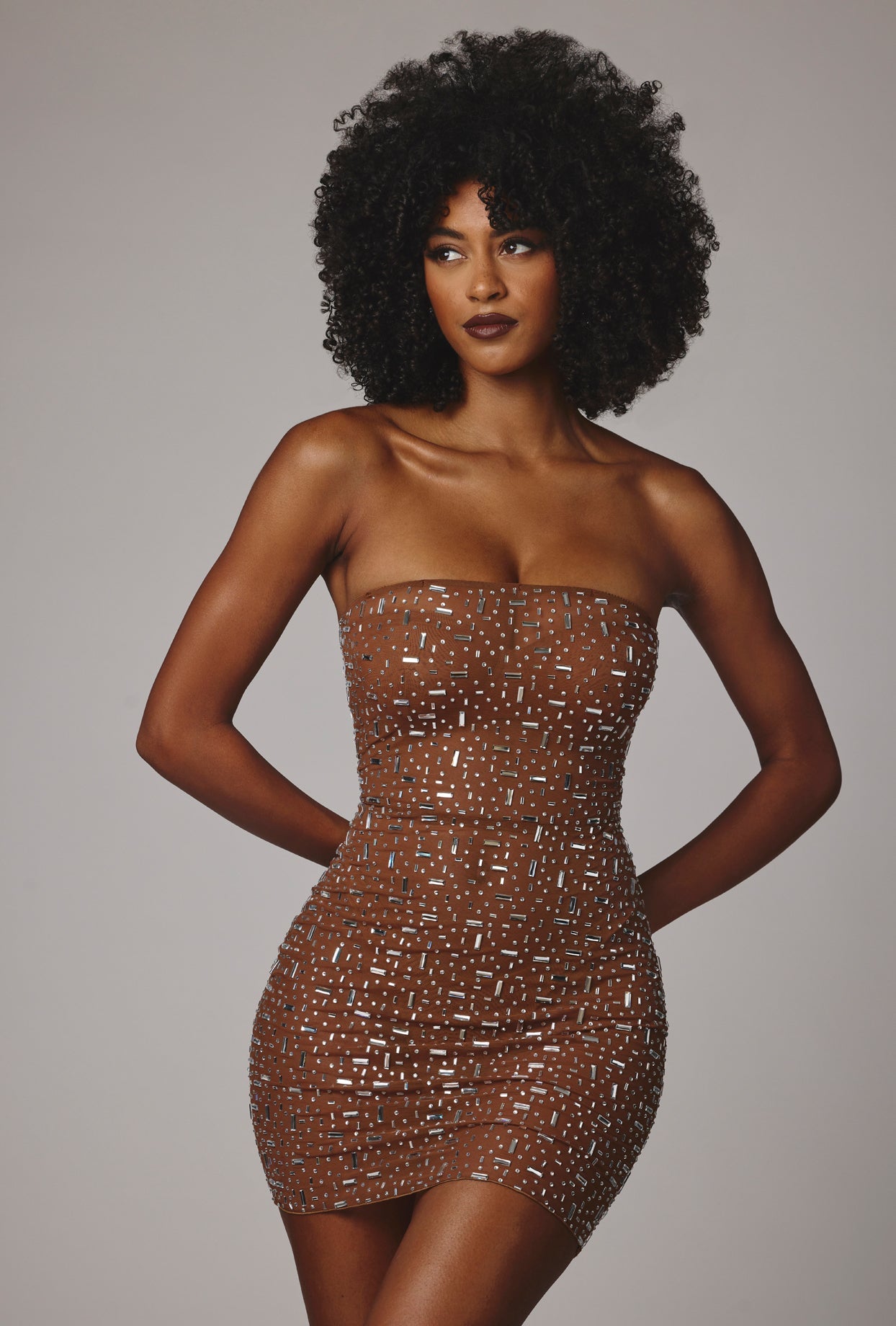 Sheer Embellished Bodycon Mini Dress in Mocha