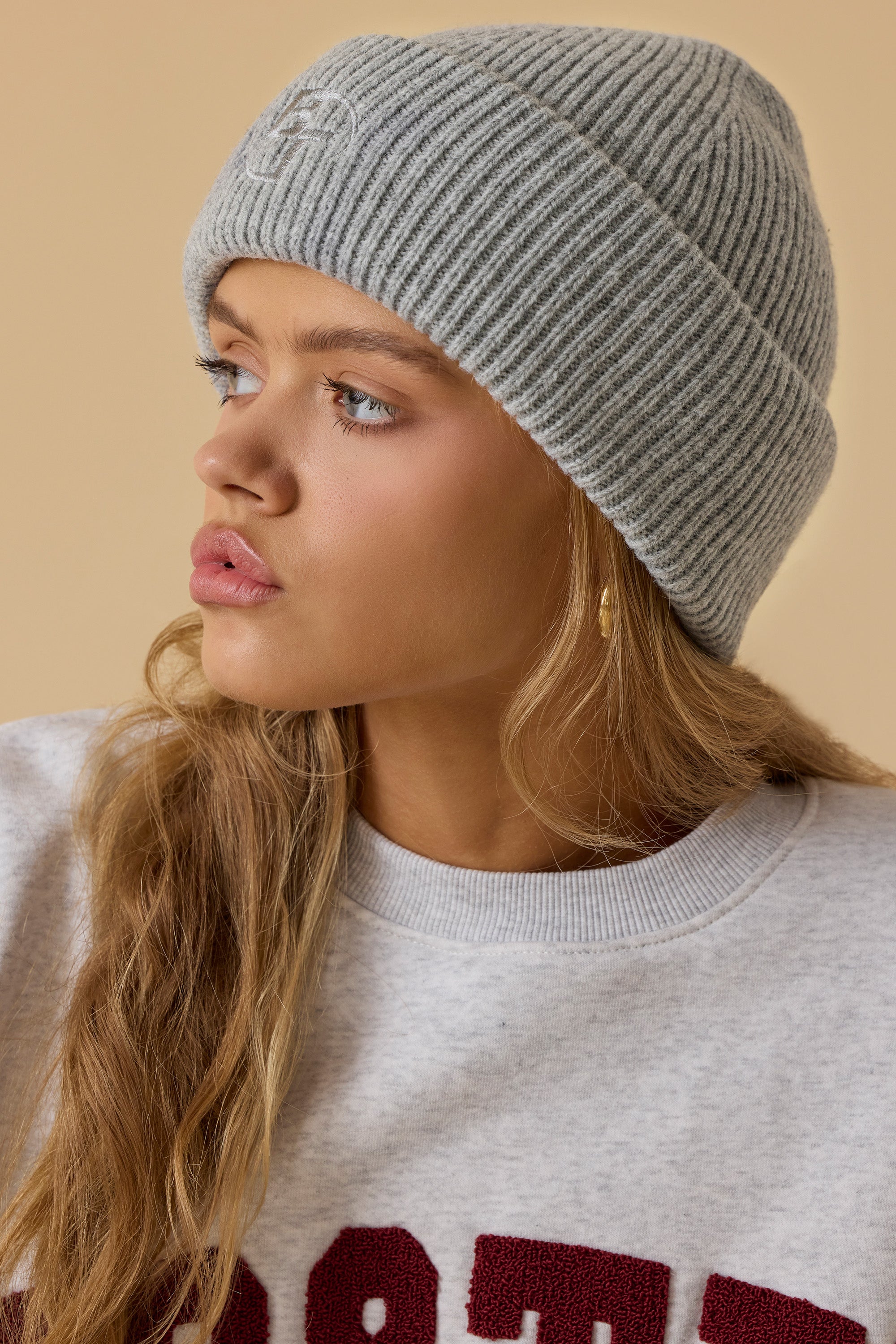 Knit Beanie in Heather Grey