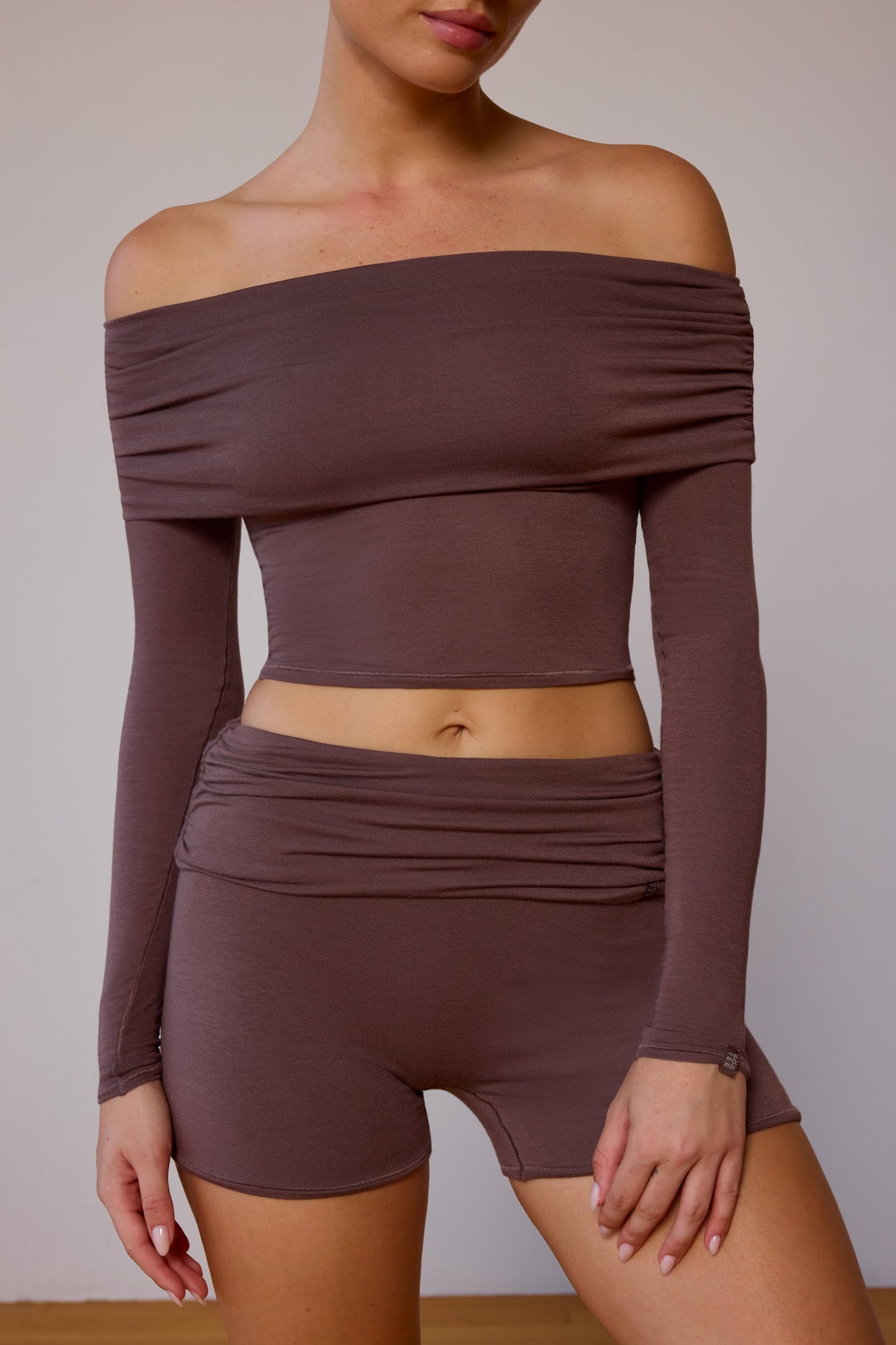 Sheer Off-Shoulder Long-Sleeve Top in Taupe Brown