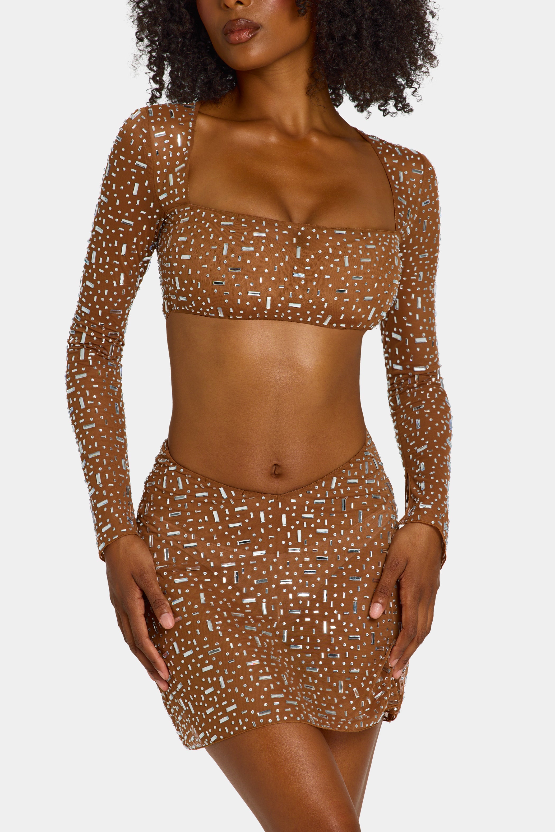 Sheer Embellished Long Sleeve Crop Top in Mocha