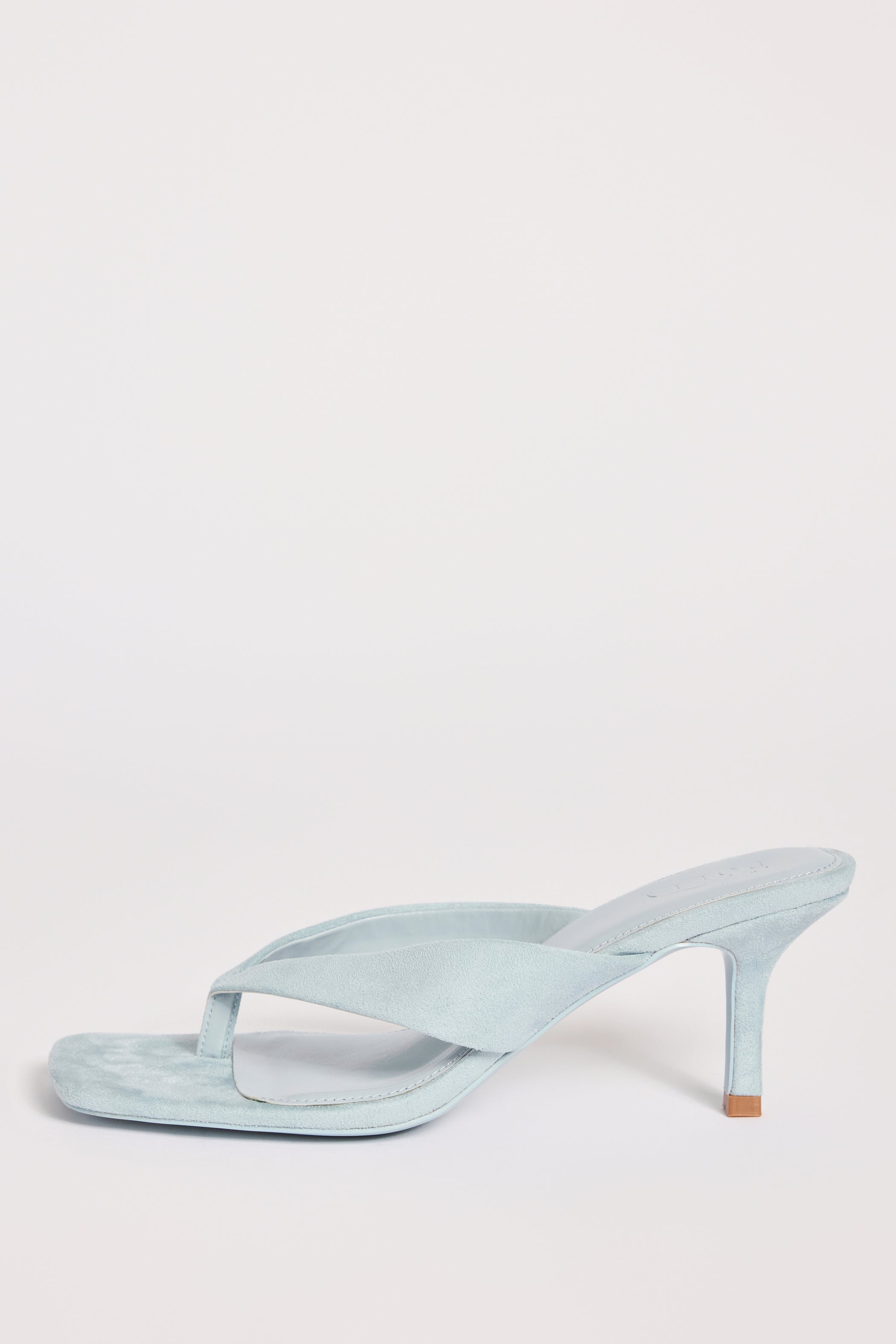 Heeled Thong Sandals  in Arctic Blue